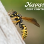 Havard Pest Control - Mobile, AL