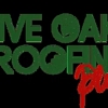 Five Oaks Roofing Plus gallery