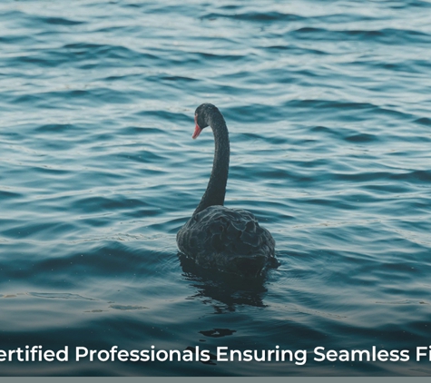 Ballpoint Bookkeeping. Xero-Certified Professionals Ensuring Seamless Finances