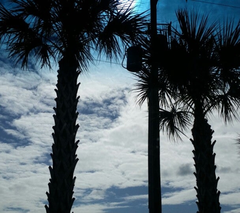 Starbucks Coffee - Mount Dora, FL