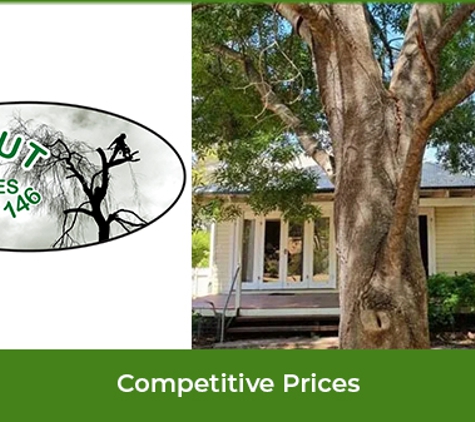 Ezi cut tree services - Hill Top, NSW. Competitive Prices