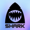 Shark Signage Company gallery