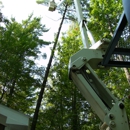 Dan Helsel Tree Service - Tree Service