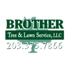 Brother Tree & Lawn Service, LLC