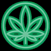Cannabis Doc - Zephyrhills Medical Marijuana Doctor & Marijuana Cards gallery