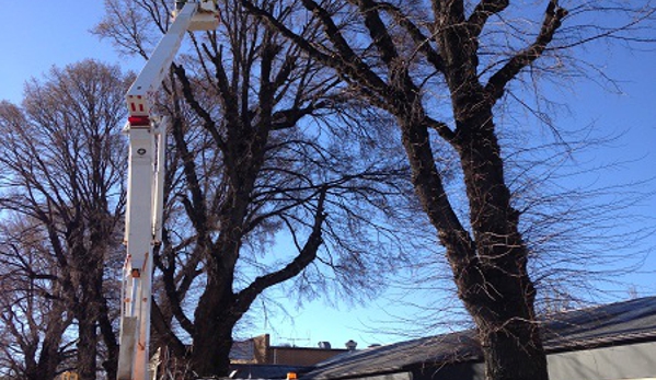McMahon's Earthmoving & Tree Service - Jindabyne, NSW