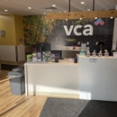 VCA Bellevue Veterinary Hospital - Veterinarians