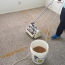 Easiclean Carpet Care - Carpet & Rug Cleaners