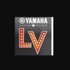 Yamaha Motor gallery