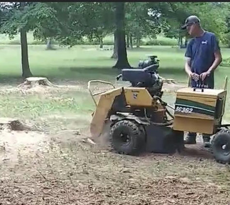 Eagle Stump Removal - Scottsville, KY