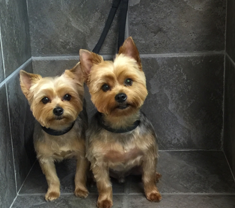 Barb's Dog Grooming - Wichita, KS