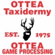 Ottea Taxidermy