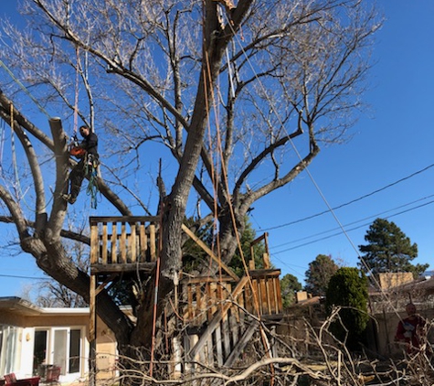 B&G TREE TRIMMING - Santa Fe, NM