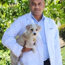 Lemon Grove Veterinary Hospital - Veterinary Clinics & Hospitals