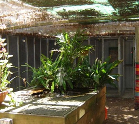 Treetops Boarding Cattery - Moorooduc, VIC