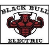 Black Bull Electric gallery