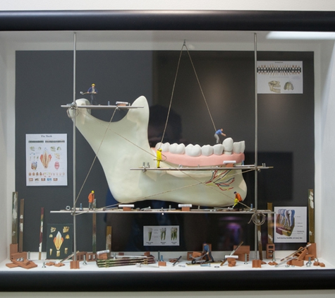 Sundial Dental Wauchope - Wauchope, NSW. Dentistry Is A Team Effort With You, The Patient At The Head Of The Team!