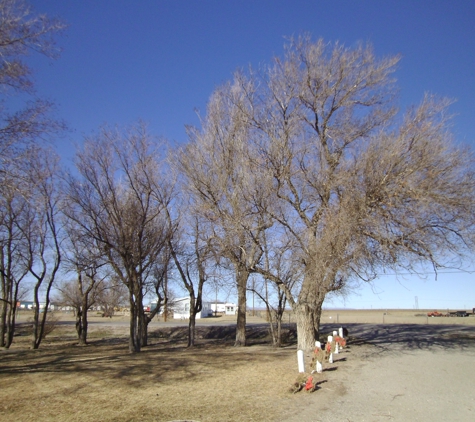 Capshaw Tree Service