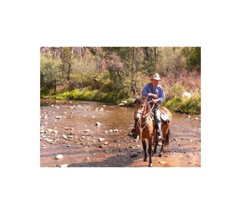 Packer's High Country Horse Riding - Anglers Rest, VIC