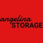 Angelina Storage