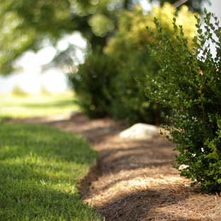 Stickle Landscape Management - Hampton, VA