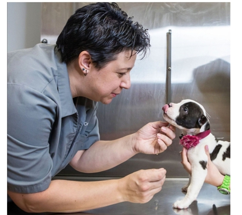 Vital Animal Veterinary Clinic - Sioux Falls, SD