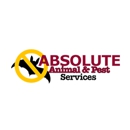 Absolute Animal & Pest Control - Pest Control Services