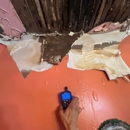 SERVPRO of South Philadelphia - Fire & Water Damage Restoration