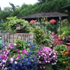 Danson's Landscaping gallery