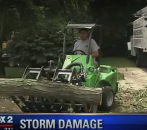 Halo Tree Service - Shelby charter Township, MI. Fox 2 News after storm damage