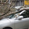Ram Insurance Service gallery