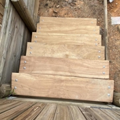 Gallery Image Number 6