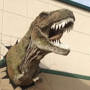 Glendive Dinosaur and Fossil Museum