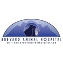Brevard Animal Hospital - Veterinary Clinics & Hospitals