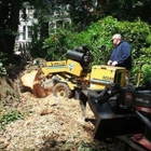 Rappahannock Tree Preservation