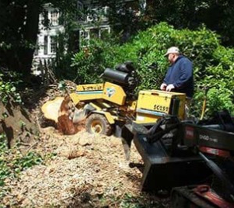 Rappahannock Tree Preservation