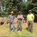 Oliver Tree Service, LLC - Stump Removal & Grinding