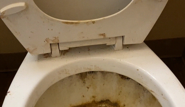 Presto Cleaning Maid Service - San Diego, CA. Toilet Before