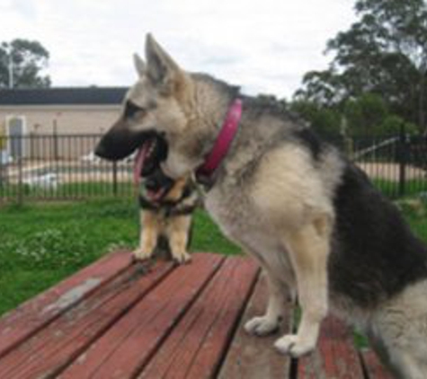 Austral Dog Boarding Kennels - Austral, NSW