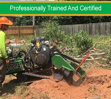 Active Tree Fellas - River Heads, QLD. Professionally Trained And Certified