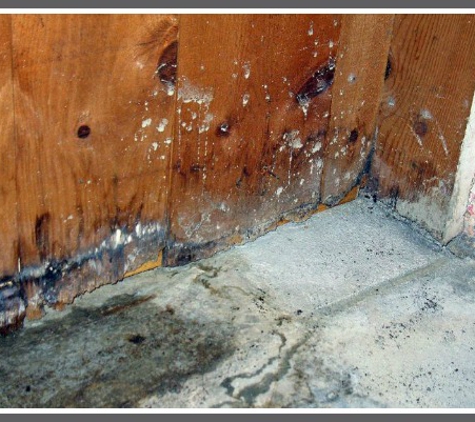 Tallahassee Mold Pros - Tallahassee, FL