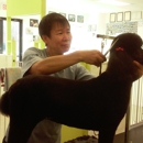 Grooming Kingdom - Pet Services