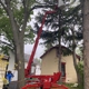 KD Rochester Tree Service