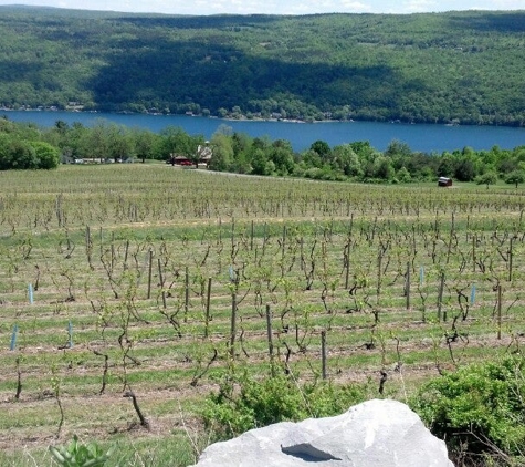 Bully Hill Vineyards - Hammondsport, NY