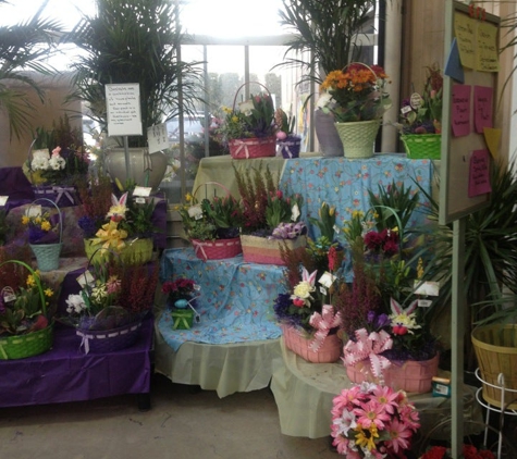 Dan Schantz Greenhouse & Cut Flower Outlet