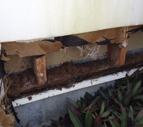 Amalgamated Pest Control - Arcadia, QLD
