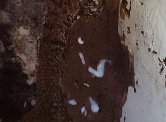 Impact Pest Control