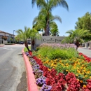 Park, Canyon - Apartments