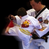 Ha's Tae Kwon DO gallery