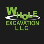 Whole Excavation